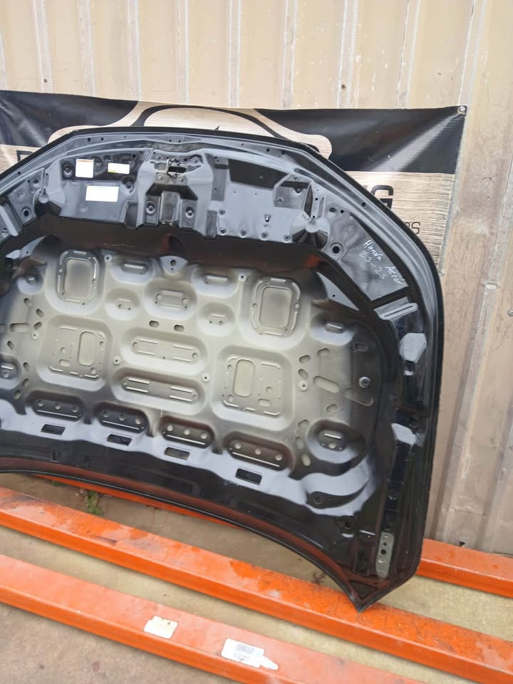 2019 - 2024 Honda Accord OEM Hood - Image 6